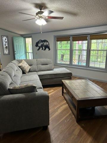 Lakeview Cottage Photo 7